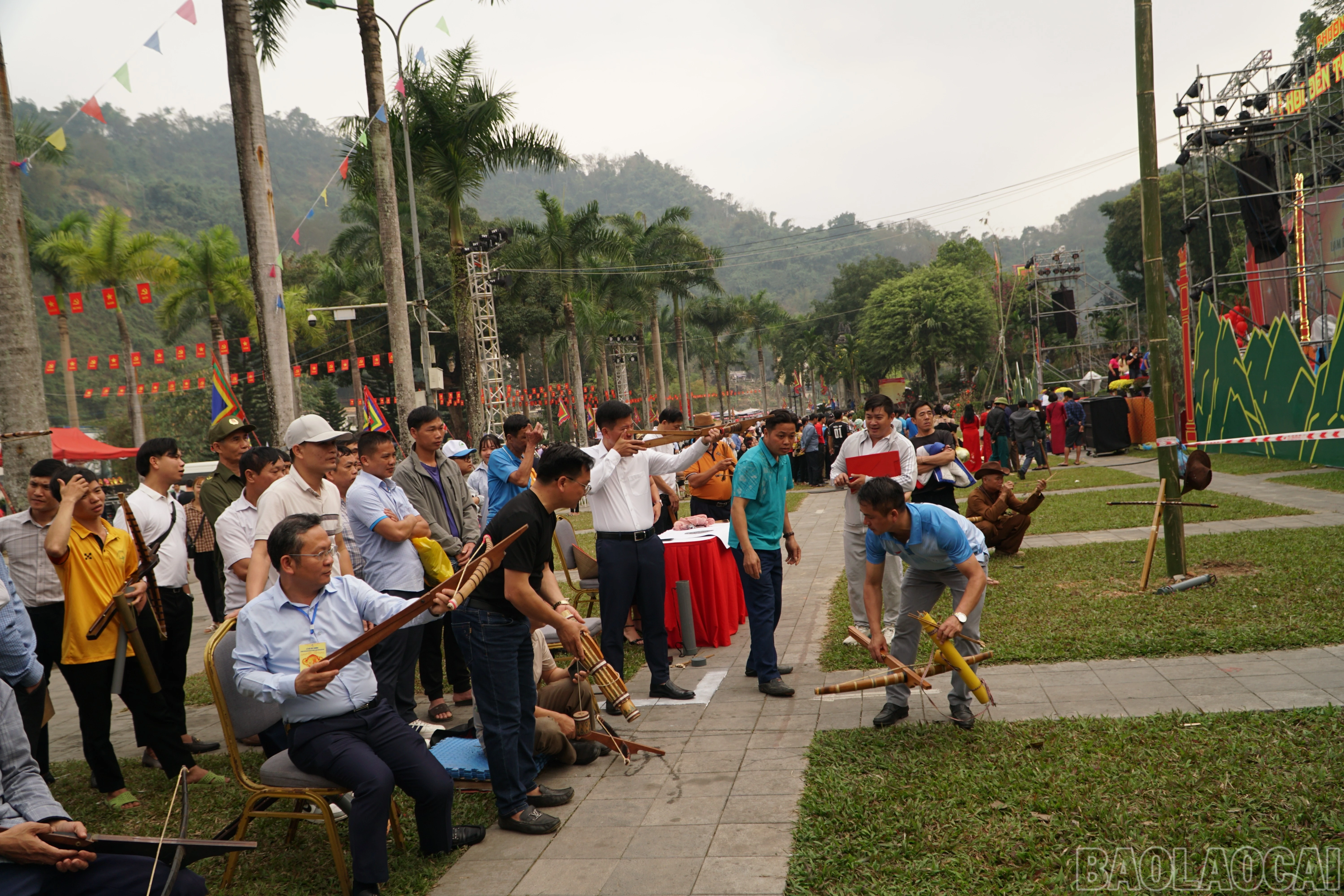 baolaocai-br_save-20260302-120240.jpg