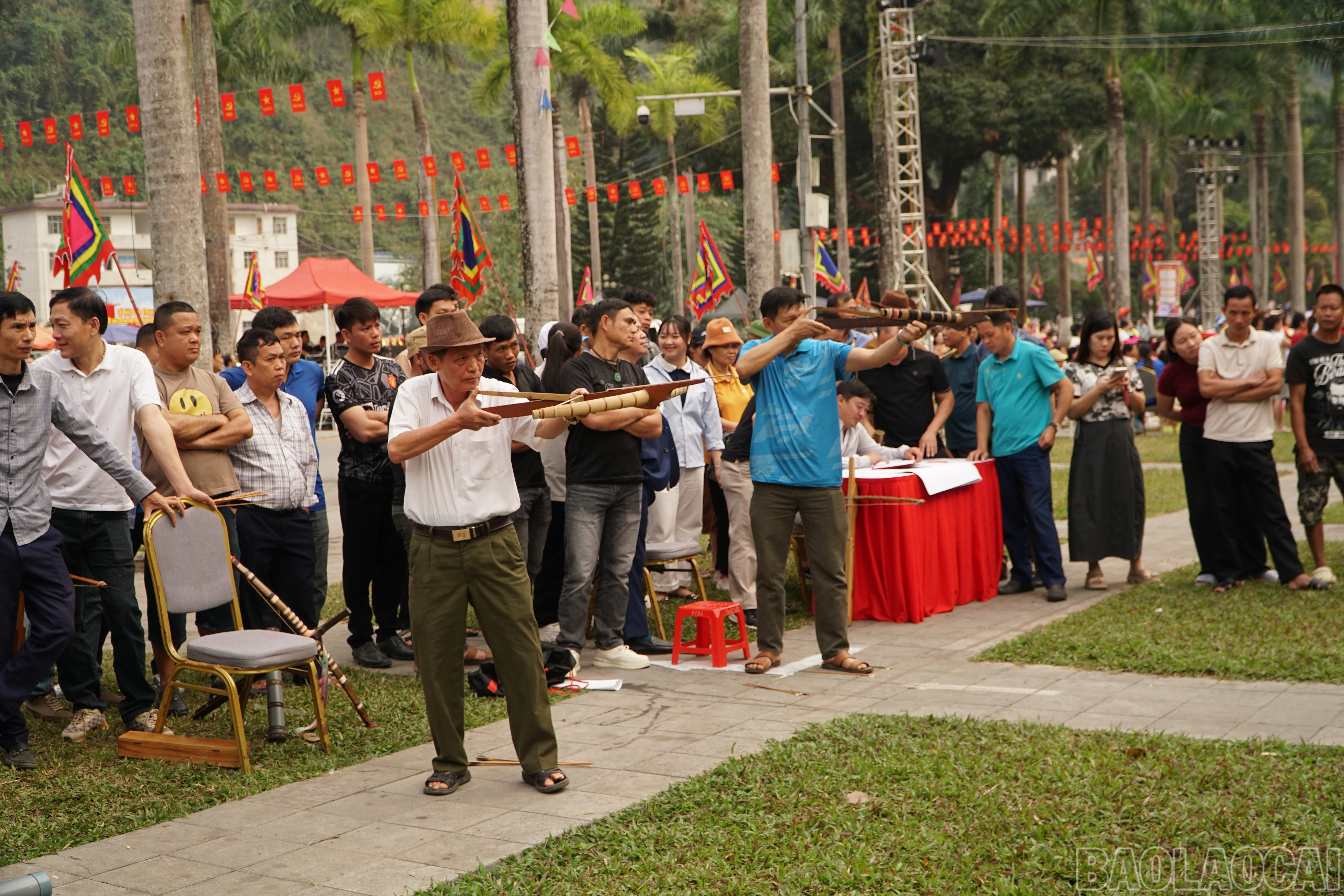 baolaocai-br_save-20260302-120100.jpg