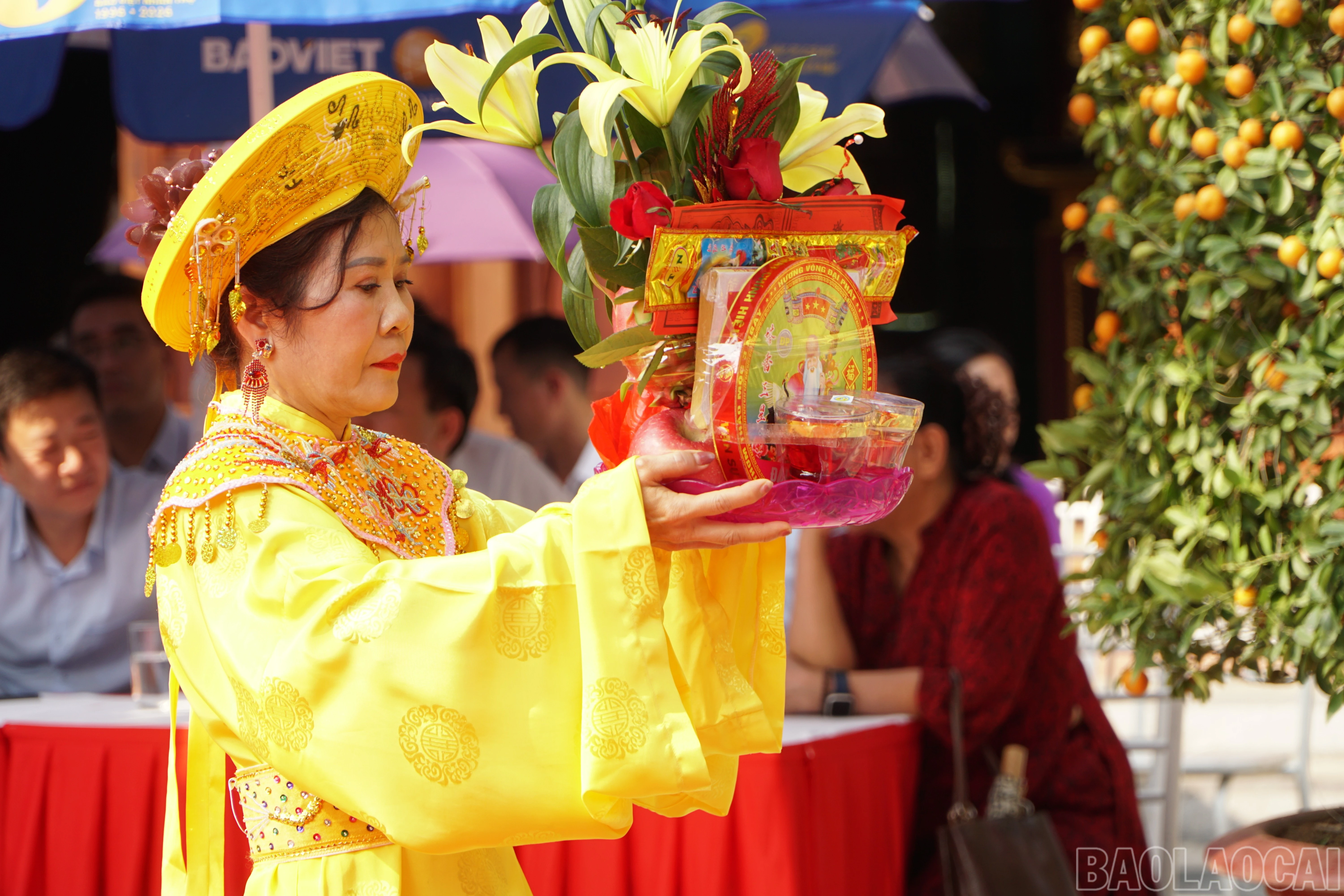 baolaocai-br_img-8877.jpg