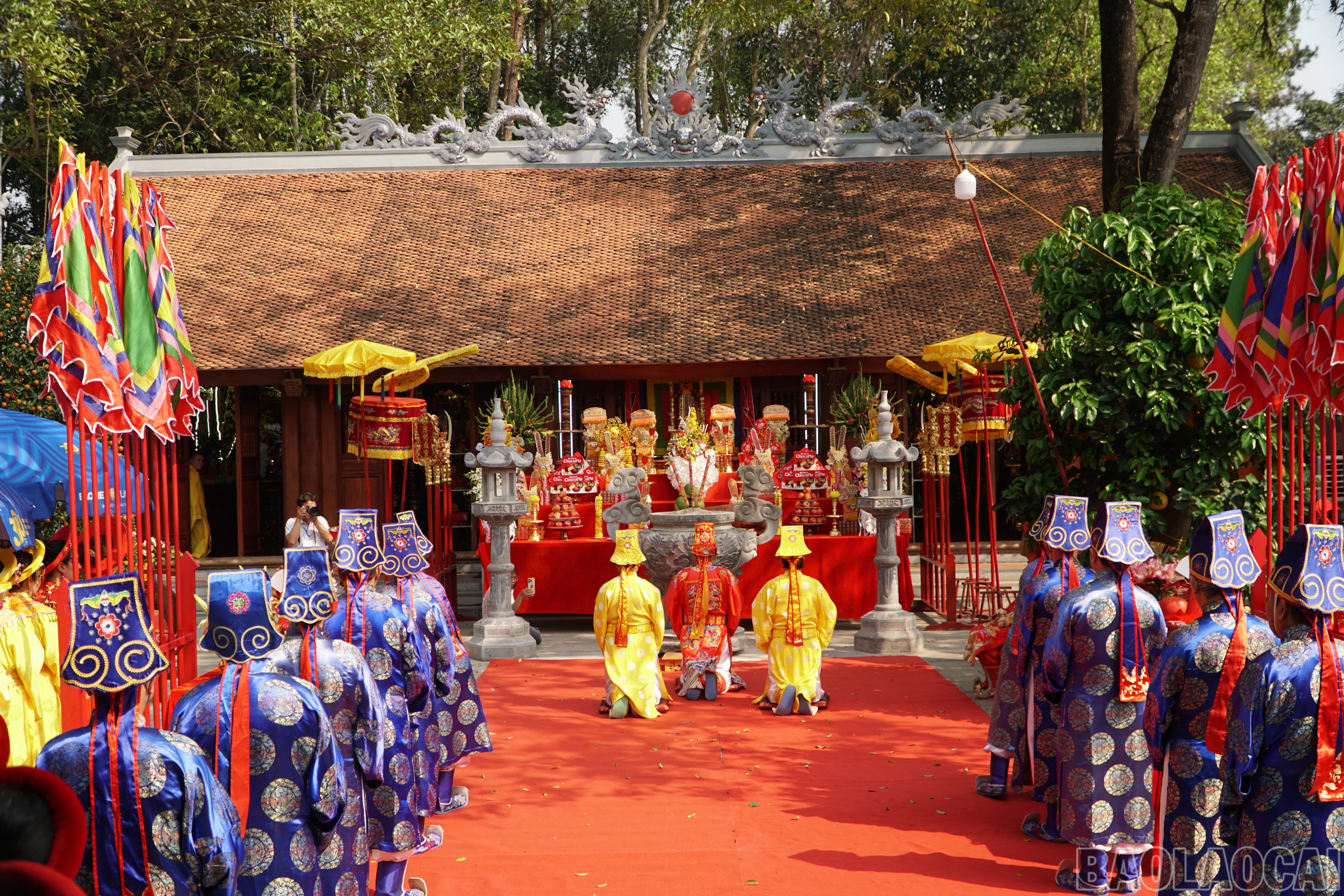 baolaocai-br_img-8874.jpg