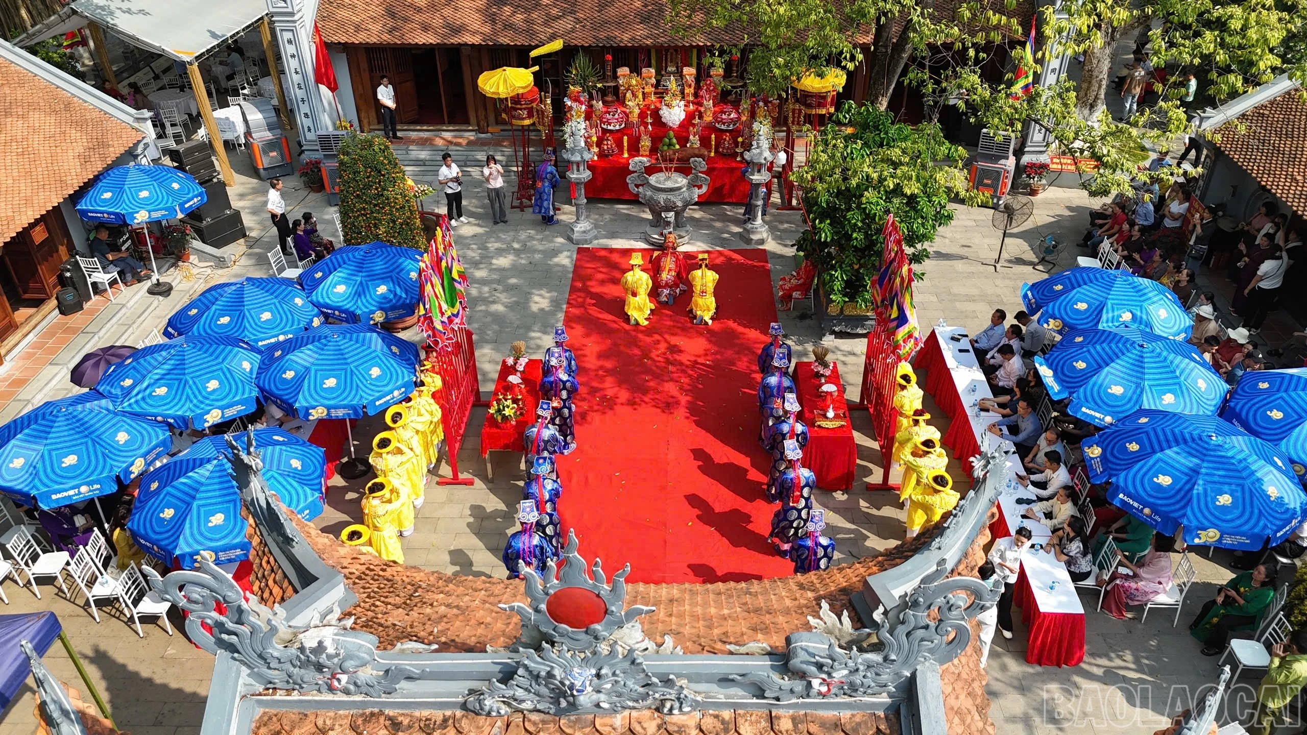 baolaocai-br_img-8871.jpg