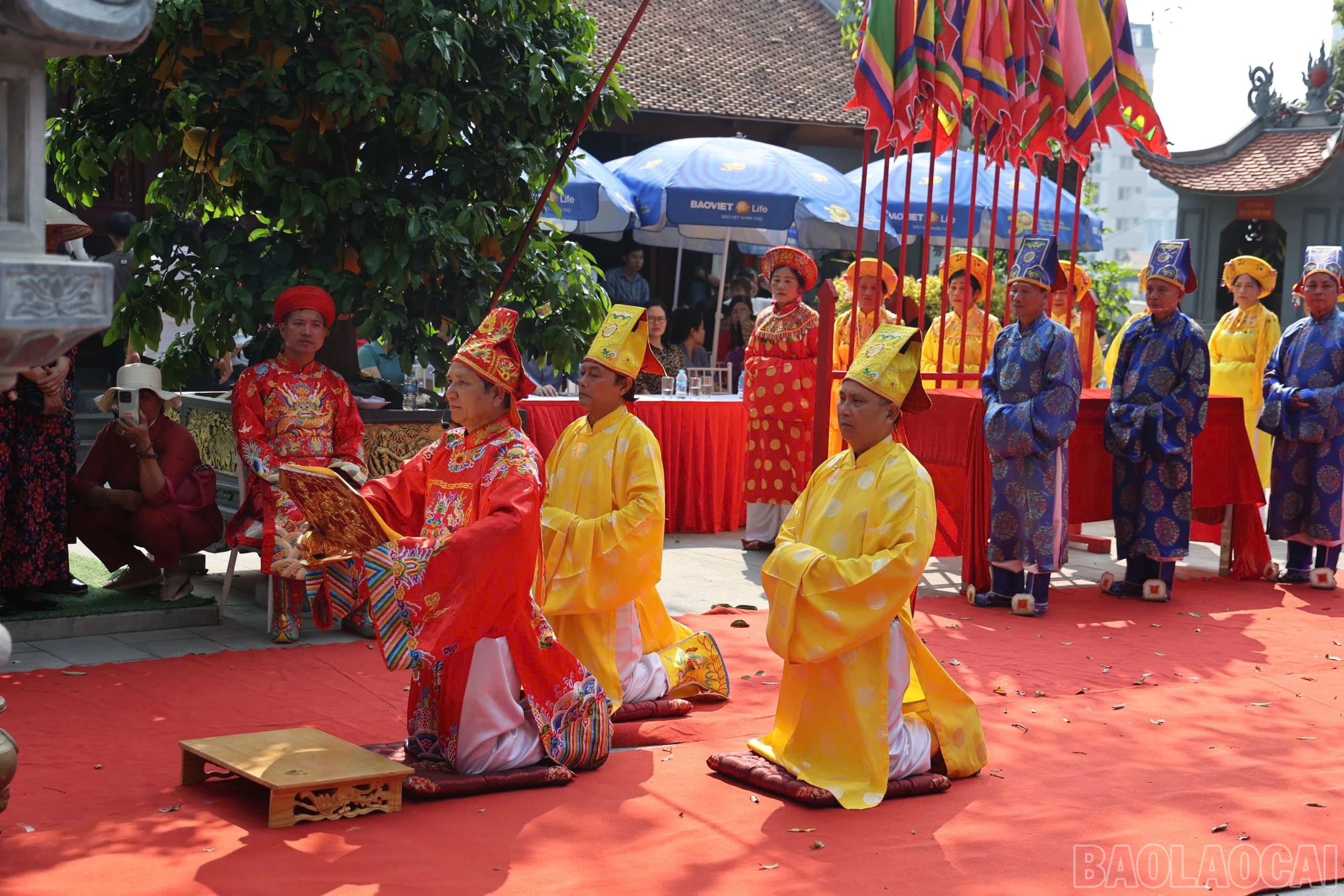 baolaocai-br_img-8869.jpg