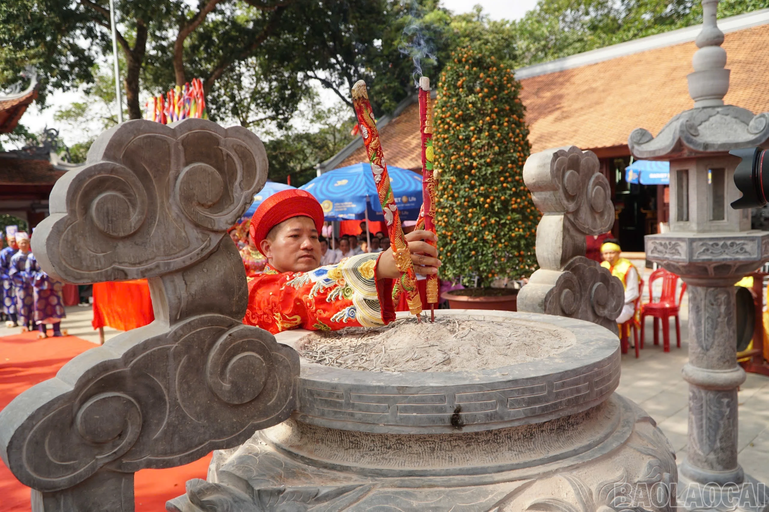 baolaocai-br_img-8872.jpg