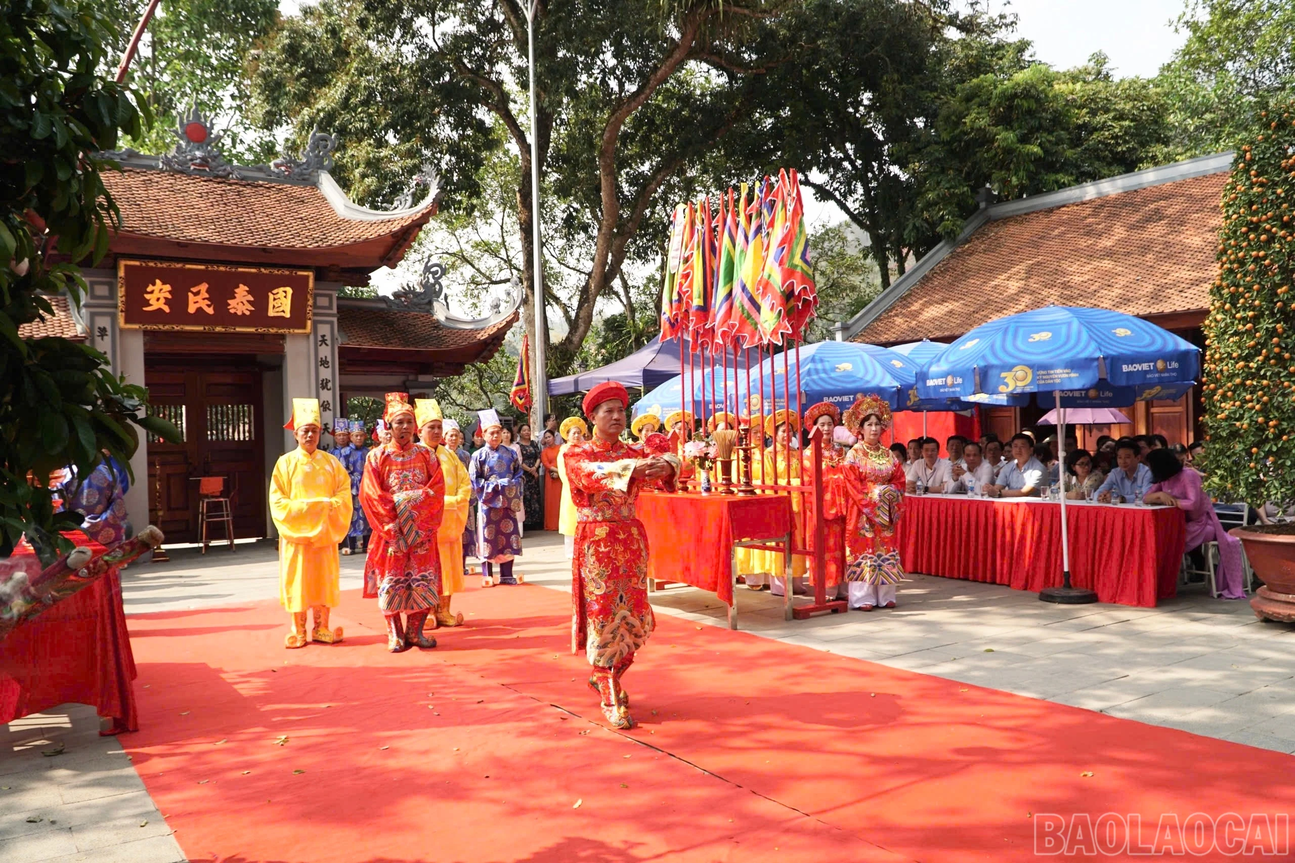 baolaocai-br_img-8873.jpg