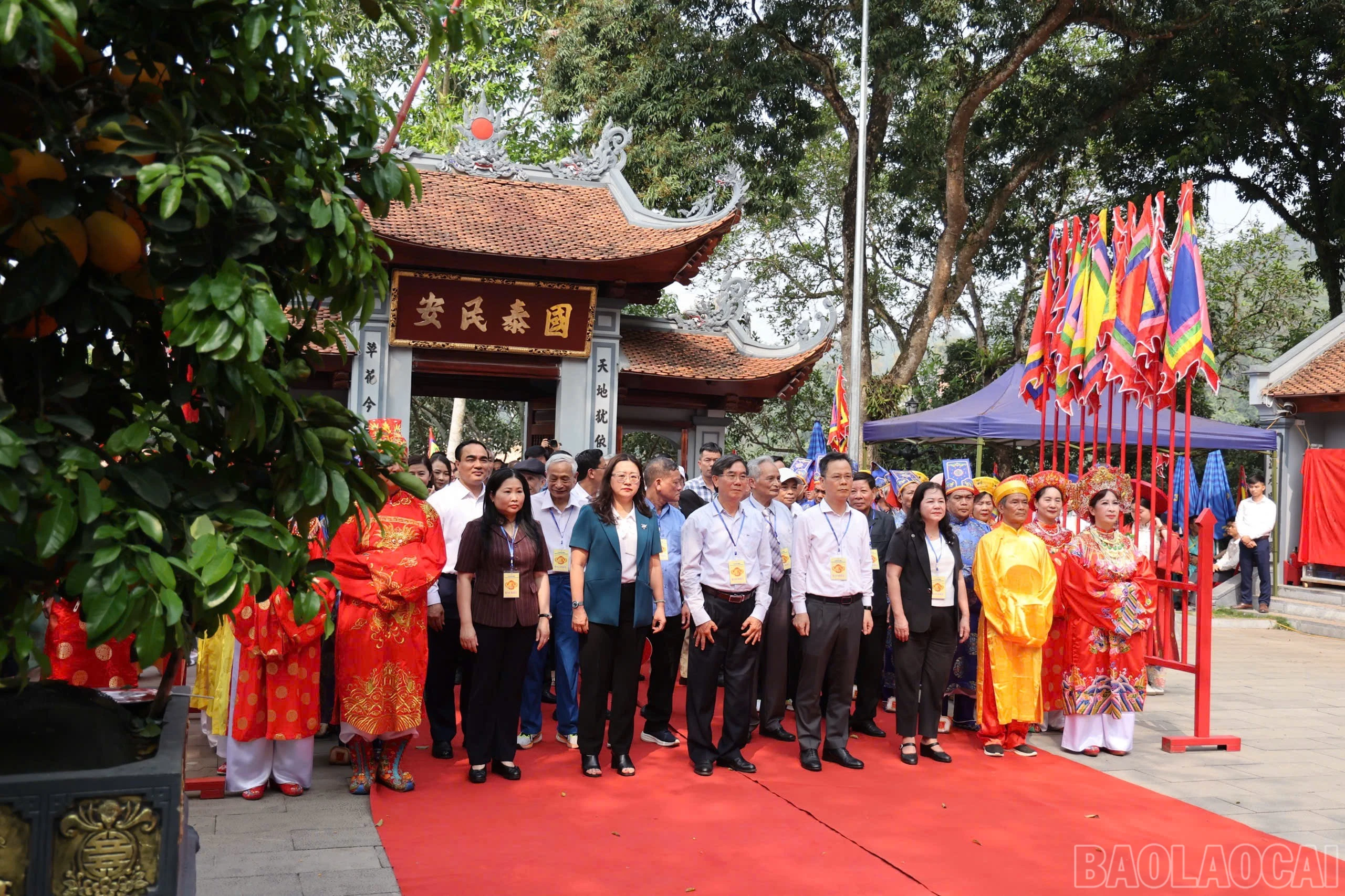baolaocai-br_img-8907.jpg