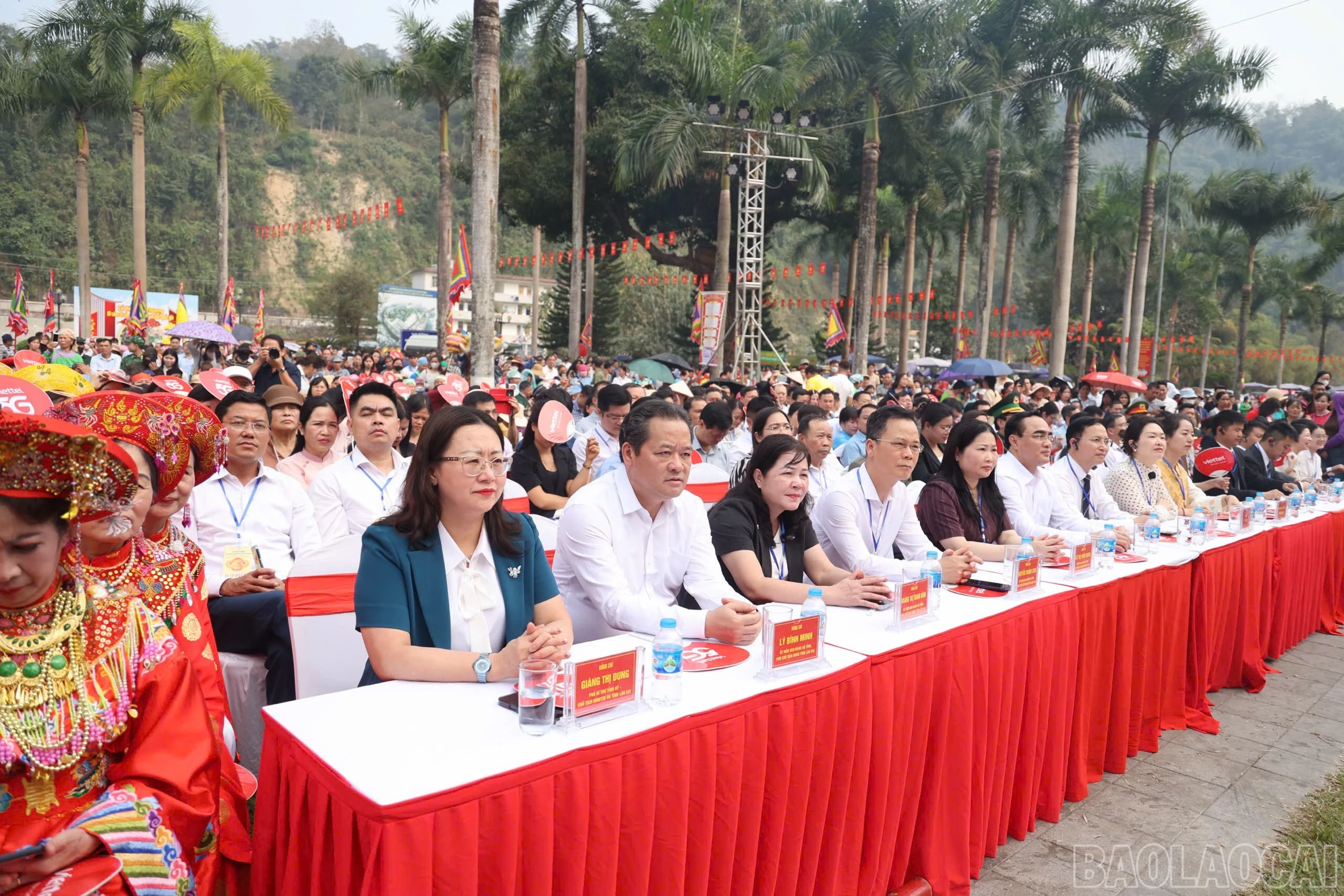 baolaocai-br_img-8905.jpg