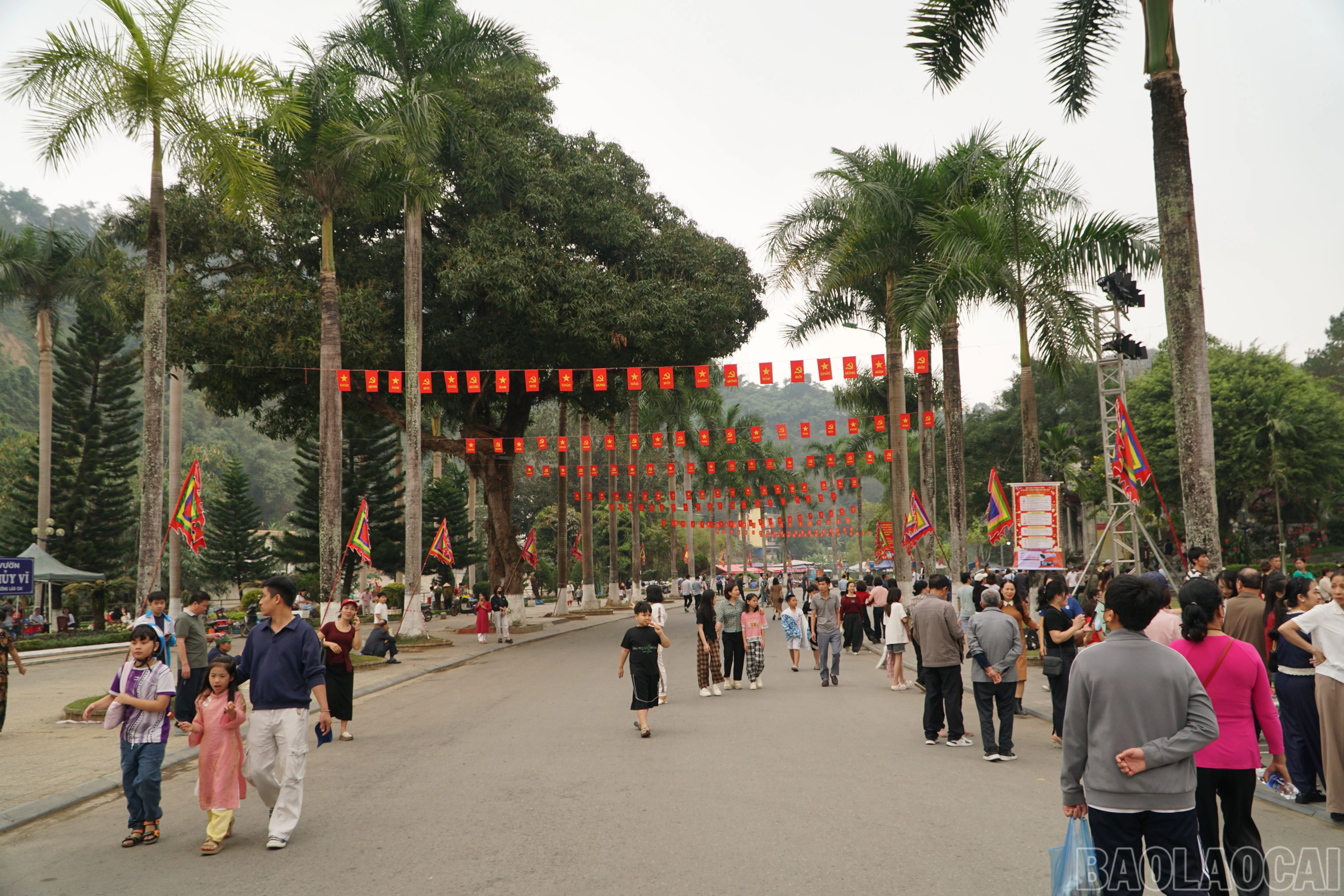 baolaocai-br_save-20260301-094548.jpg