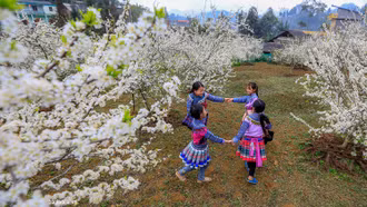 Đêm không mưa, ngày nắng nóng