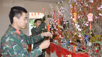 Rộn ràng không khí ngày xuân tại Trung đoàn 254