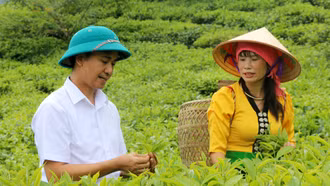 Đưa thông tin đến gần dân, tạo nền tảng giảm nghèo bền vững