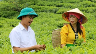 Đưa thông tin đến gần dân, tạo nền tảng giảm nghèo bền vững