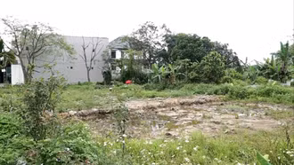 Giải pháp cải tạo, hồi phục những “vùng đất chết” 