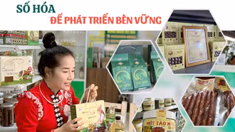 Số hóa để phát triển bền vững