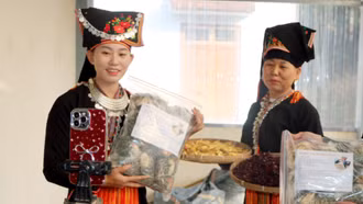 Lào Cai: Kinh tế số thay đổi tư duy phụ nữ vùng cao