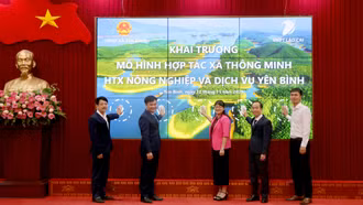 Yên Bình khai trương mô hình hợp tác xã nông nghiệp thông minh