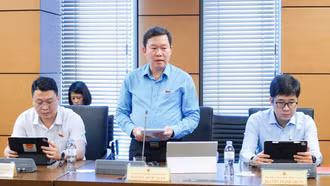 Đoàn Đại biểu Quốc hội tỉnh Lào Cai thảo luận các dự án Luật về hàng không, viên chức và giáo dục