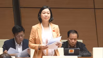 Cần hoàn thiện pháp luật, bảo đảm tính khả thi và nhân văn