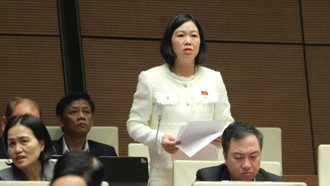 Đại biểu Quốc hội tỉnh Lào Cai Nguyễn Thị Lan Anh đề xuất giải pháp trong quản lý khoáng sản