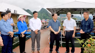 Đổi mới phương thức, nâng cao chất lượng hoạt động giám sát chuyên đề của HĐND các cấp 