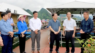 Đổi mới phương thức, nâng cao chất lượng hoạt động giám sát chuyên đề của HĐND các cấp