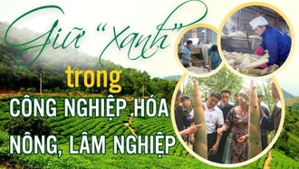Giữ “xanh” trong công nghiệp hóa nông, lâm nghiệp
