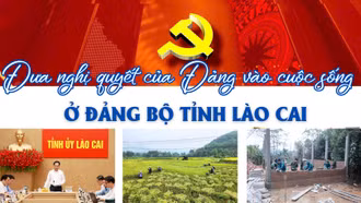 Đưa nghị quyết của Đảng vào cuộc sống ở Đảng bộ tỉnh Lào Cai