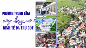 Phường Trung Tâm xây dựng mô hình kinh tế đa trụ cột