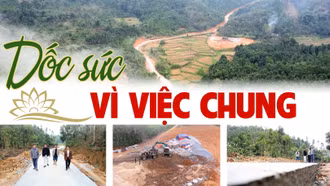 Dốc sức vì việc chung 