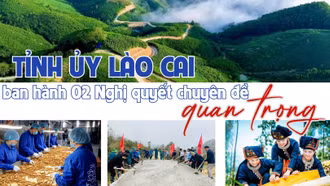 Tỉnh ủy Lào Cai ban hành 02 Nghị quyết chuyên đề quan trọng