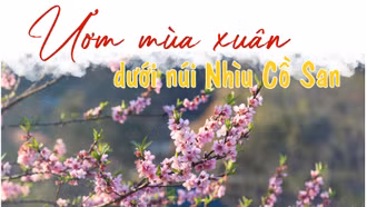 Ươm mùa xuân dưới núi Nhìu Cồ San