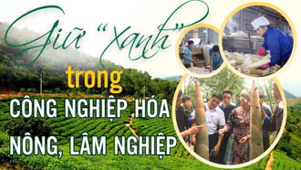 Giữ “xanh” trong công nghiệp hóa nông, lâm nghiệp