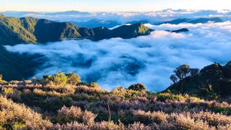 Lào Cai xây dựng du lịch thông minh để bứt phá