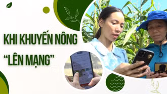 Khi khuyến nông “lên mạng”