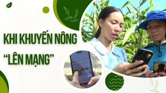 Khi khuyến nông “lên mạng”