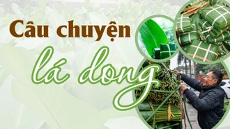 Câu chuyện lá dong