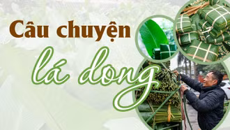 Câu chuyện lá dong