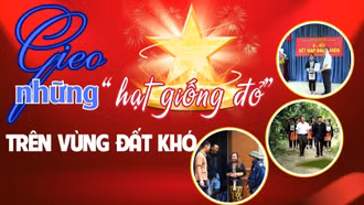 Gieo những “hạt giống đỏ” trên vùng đất khó