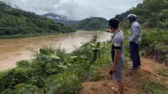 Hiểm nguy khi săn “lộc trời” mùa lũ