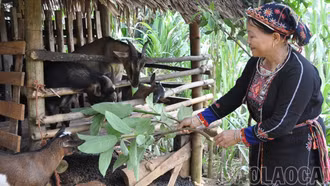 Xã Yên Bình: Tỷ lệ hộ nghèo giảm còn hơn 1% 