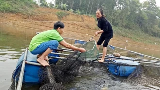 Thủy sản Lào Cai tăng trưởng ổn định, sản lượng vượt 28.000 tấn