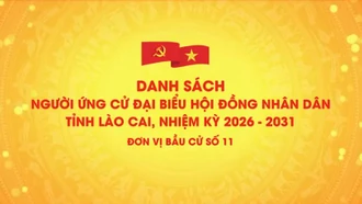Danh sách chính thức những người ứng cử đại biểu HĐND tỉnh Lào Cai, nhiệm kỳ 2026 - 2031 (đơn vị bầu cử số 11)