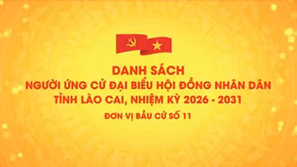 Danh sách chính thức những người ứng cử đại biểu HĐND tỉnh Lào Cai, nhiệm kỳ 2026 - 2031 (đơn vị bầu cử số 11)