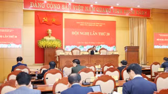 Thảo luận sôi nổi và chất lượng