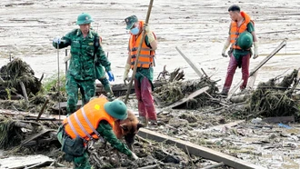 Tăng cường chó nghiệp vụ cho công tác tìm kiếm nạn nhân tại thôn Làng Nủ