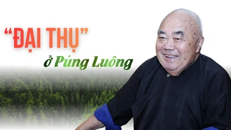 “Đại thụ” ở Púng Luông