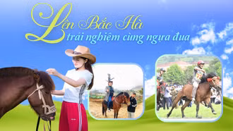 Lên Bắc Hà trải nghiệm cùng ngựa đua 