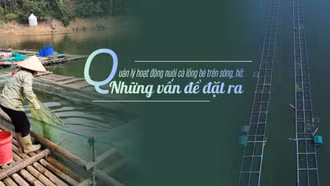 Bài cuối: Cần giải pháp đồng bộ để phát triển bền vững