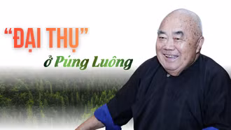 “Đại thụ” ở Púng Luông