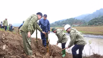 Võ Lao: Trồng tre giữ đất, mở đường phát triển