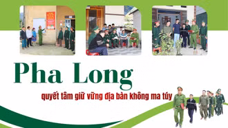 Pha Long quyết tâm giữ vững địa bàn không ma túy